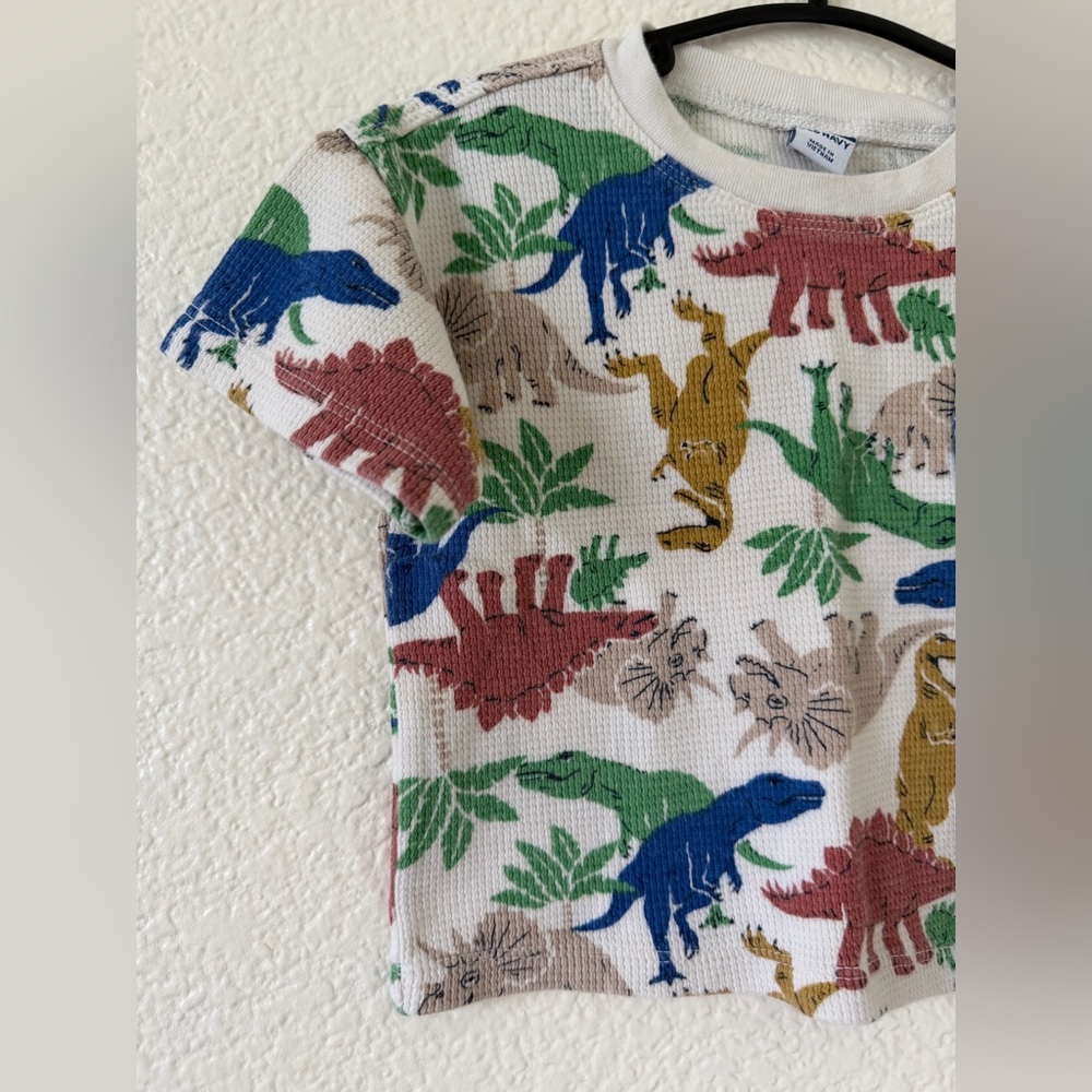 Matching Dinosaur Set - Picture 3 of 11